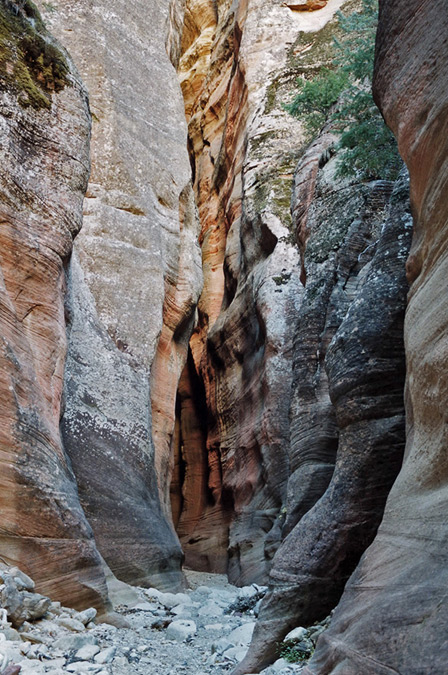 Orderville Canyon