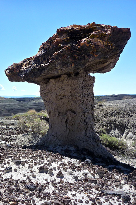 Ceja Pelon Mesa, New Mexico