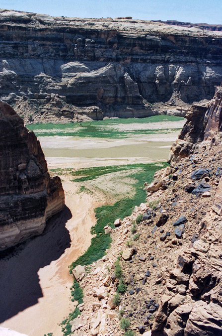 Rock Canyon-Colorado River junction