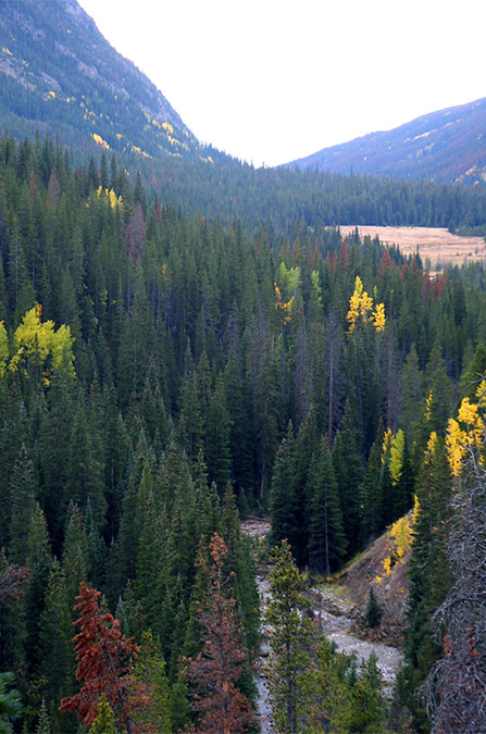 Little Yellowstone