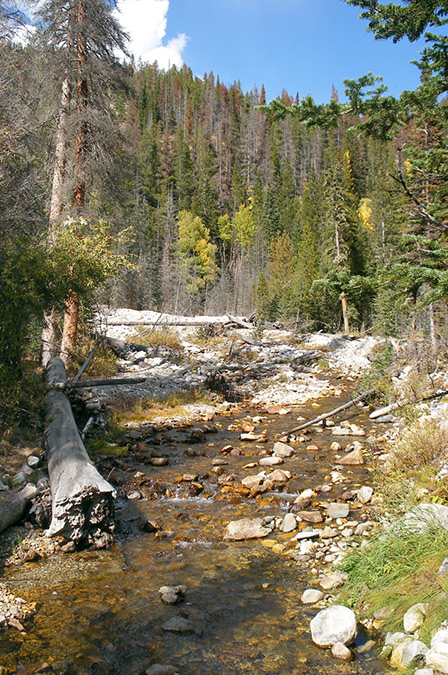 Little Yellowstone