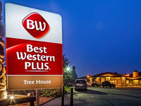 Best Western Plus Tree House