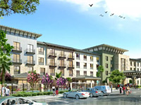 Cambria Hotel Sonoma Wine Country