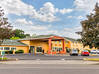 Quality Inn & Suites Albany