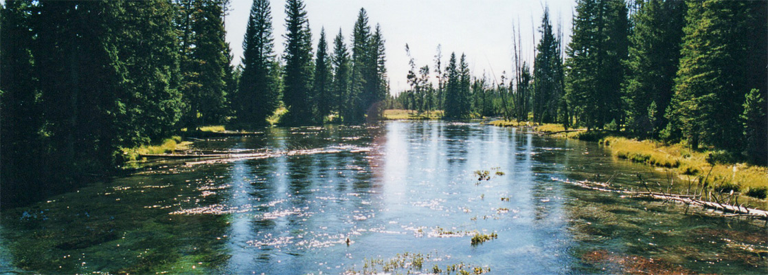 Henrys Fork of the Snake River, just below Big Springs