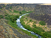 Spring-fed river