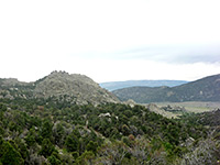 Rocks and forest