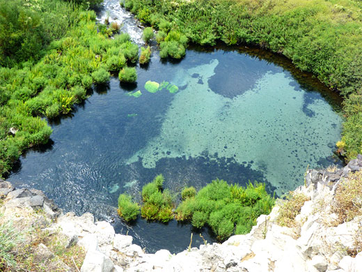 Box Canyon Springs