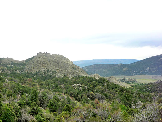 Rocks and forest