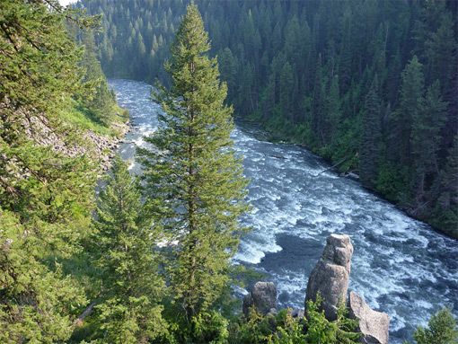 Trees and pinnacles beside Henrys Fork River