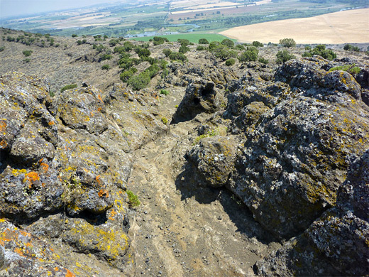 Lichen-covered lava