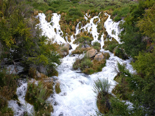 Niagara Springs