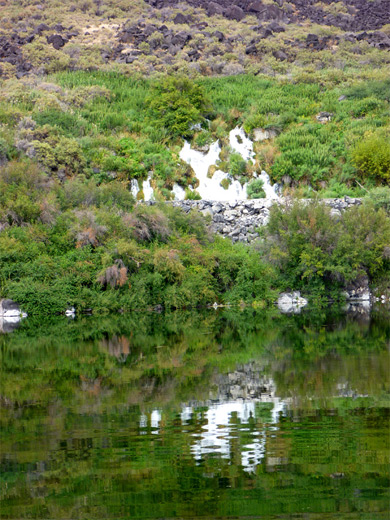 Springs above Crystal Springs Lake