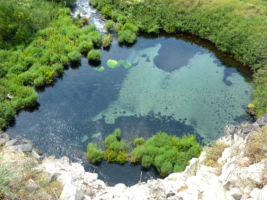 Large pool