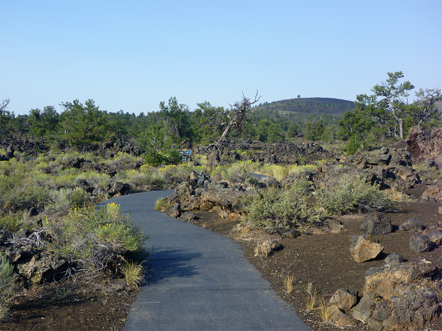 Devils Orchard Trail