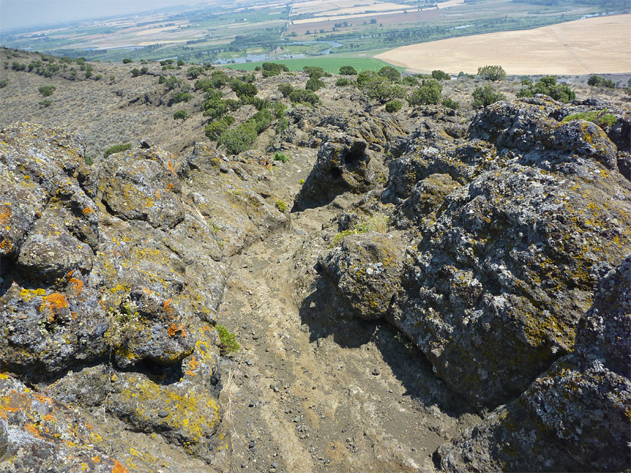 Lichen-covered lava