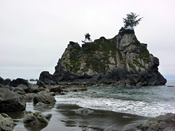 Hidden Beach Trail, Redwood NP