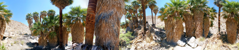 Cabeza Prieta National Wildlife Refuge