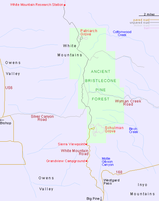 Map of the Ancient Bristlecone Pine Forest