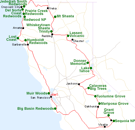 Map of the Big Trees tour
