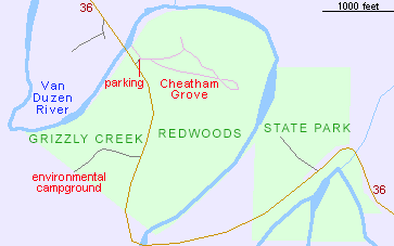 Cheatham Grove, Grizzly Creek Redwoods State Park