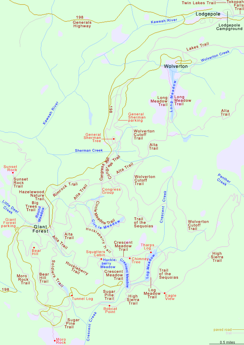 Map of the Giant Forest, Sequoia National Park