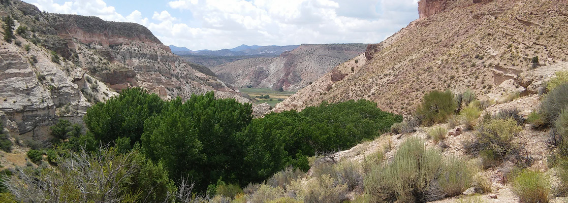 Kershaw Canyon, along the overlook trail