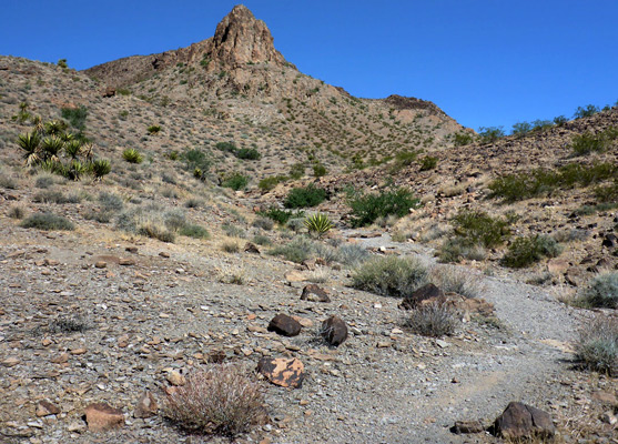 Rocky peak in the McCullough Range