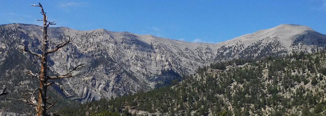 Mt Charleston, Trail Canyon Trail