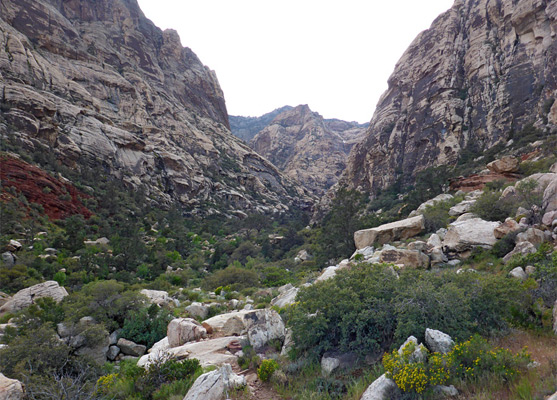 Bushes and boulders at the mouth of Oak Creek Canyon