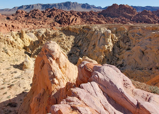 Pinkish outcrop of Aztec sandstone