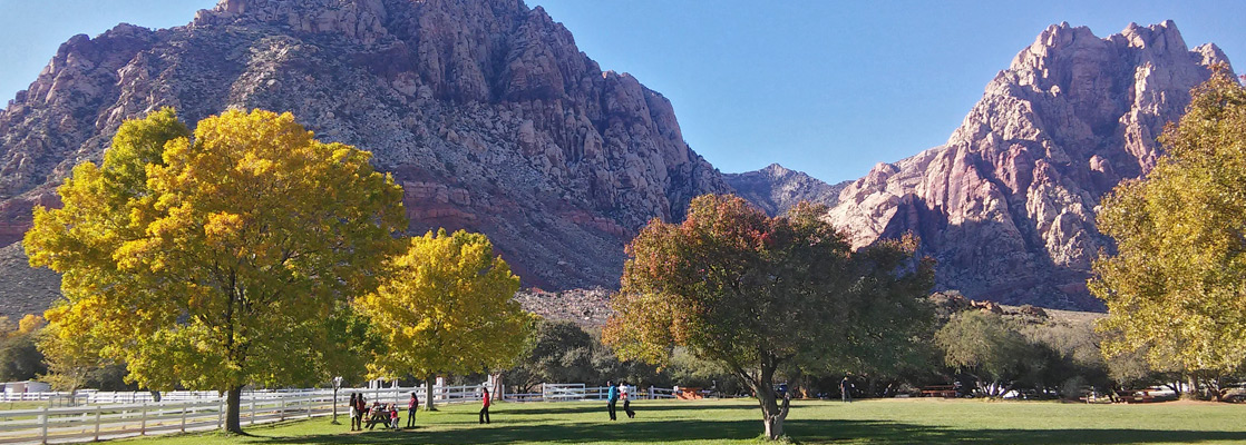 Trees by the picnic area; Spring Mountains beyond