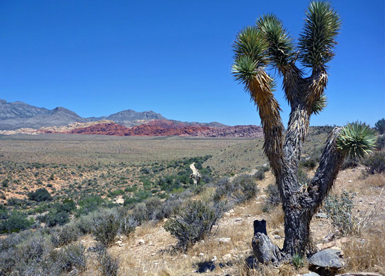 Red Rock Canyon