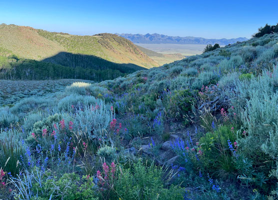 View north down Stewart Creek