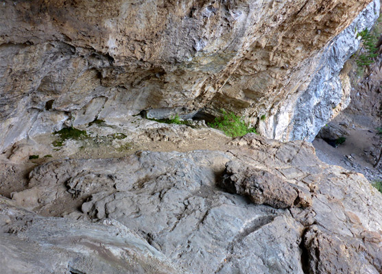 Above the streambed