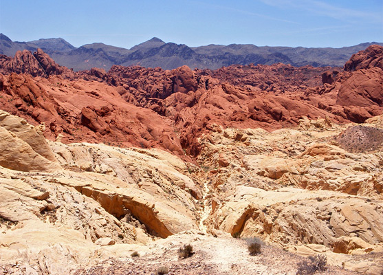 Blue sky, the Muddy Mountains, Fire Canyon, and the edge of Silica Dome