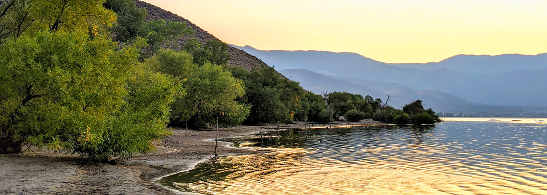 Shoreline of Washoe Lake