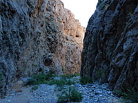 Bushes and boulders