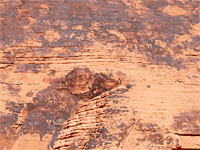 Petroglyphs on a high cliff
