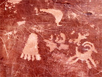 Foot and sheep
