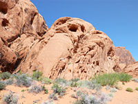 Red rocks