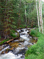 Boulders in the creek