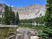 Baker Lake Trail