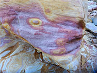 Eye in a rock