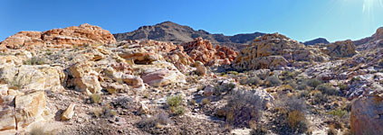 Panorama