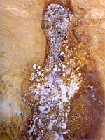 Irregular purple rock
