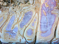 Purple patterns