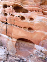 Tafoni
