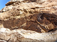 Many petroglyphs