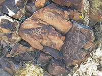 Cane Site petroglyphs